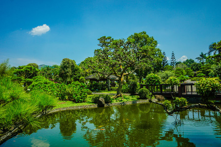a big lake with green tree with various color on japanese garden style with blue sky - photo in indonesiaの写真素材