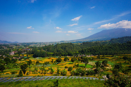 big mountain on the farming area with landscape scenery on tropical paradise country - photo indonesia bogorの写真素材