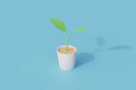plants on pot single isolated object. 3d render illustration with isometricの写真素材
