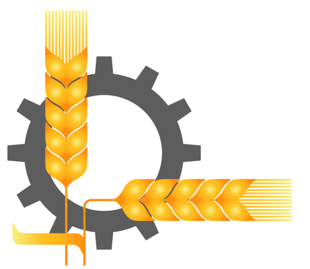 Field. Ripe wheat. Spikelets. Reaping, harvest timeのイラスト素材