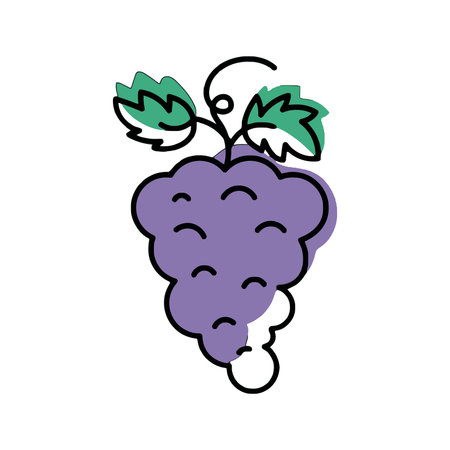 A simple and charming illustration of a bunch of purple grapes with green leaves, outlined in black with color fill.のイラスト素材