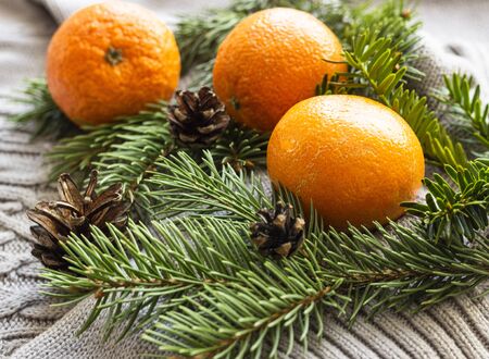 Clementines, fir branches, cones and gray knitted pullover. Winter comfort concept.の写真素材