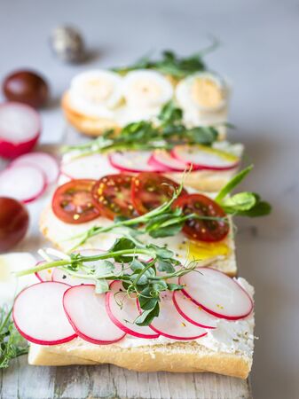 Variety of sandwiches with quail eggs, tomatoes, radish and micro green on a light gray background, selective focus. Party starter or appetizer.の写真素材