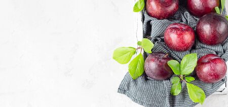 Organic purple plums with leaves, light grey stone background. Autumn or summer harvest.の写真素材