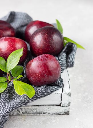 Organic purple plums with leaves, light grey background. Autumn harvest.の写真素材