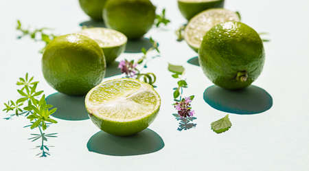 Composition with summer tropical fruits with lime, mint and aromatic herbs on pastel green background. Food concept. Close up.の写真素材