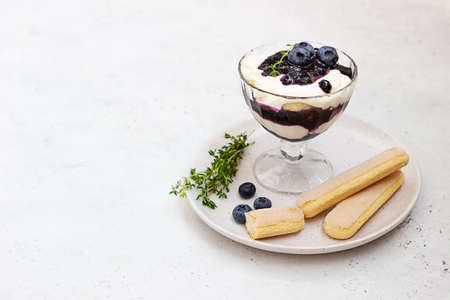 Tiramisu. Homemade dessert in glasses with blueberries, cream and ladyfingers garnish with blueberries and thyme. Light gray background.の写真素材