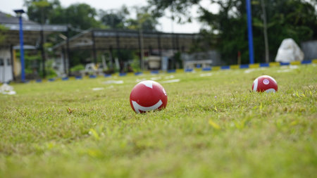 gateball on green grass field , selective focusの写真素材