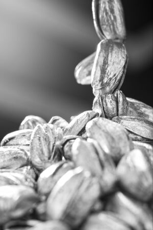 Some pastiches in a black and white photo shotの写真素材