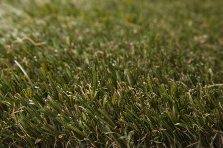 Artificial grass high quality closeupの写真素材