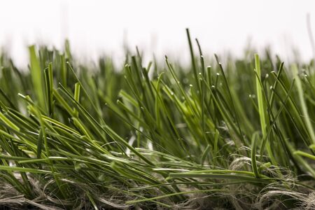 Artificial grass high quality closeupの写真素材