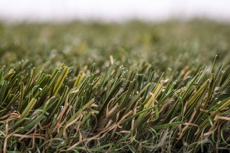 Artificial grass high quality closeupの写真素材