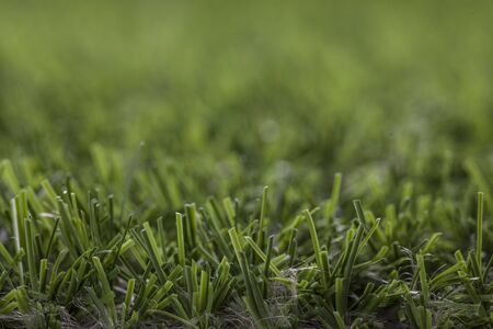 Artificial grass high quality closeupの写真素材