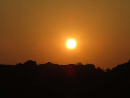 Sunset in the tree between the in the forest.の写真素材