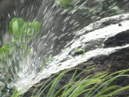 Waterfall in the forest. Shallow depth of field. Selective focus.の写真素材