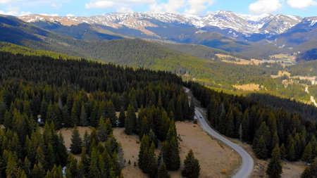 Aerial view of coniferous forest and road in Rocky Mountain National Park, Colorado.