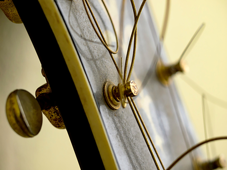 Central machine head of a folk guitar