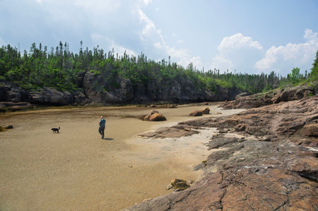 a man and his dog walking in a dry riverbed on a beautiful summer dayの写真素材