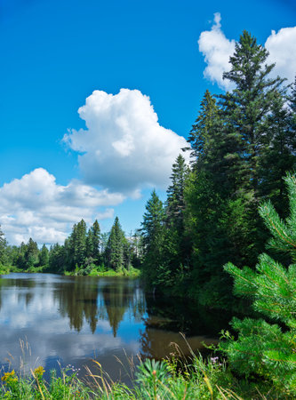 Beautiful summer landscape with river, forest and blue sky with cloudsの写真素材