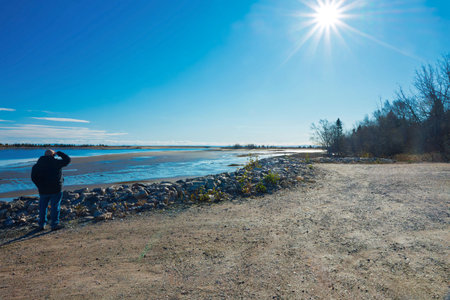 Sunny day on the bank of the river in the autumnの写真素材