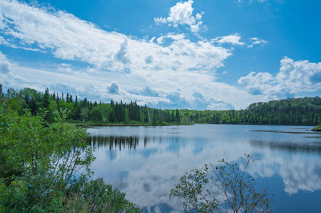 Beautiful summer landscape with lake, forest and blue sky with cloudsの写真素材