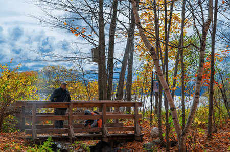 Autumn in a park. Two persons are taking photography.の写真素材