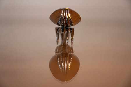 Closeup of a spoon and a fork reflecting on a mirror surfaceの写真素材
