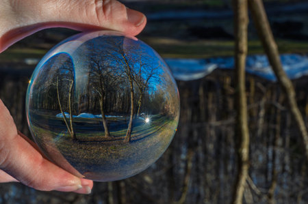Crystal ball reflecting trees in front a forestの写真素材