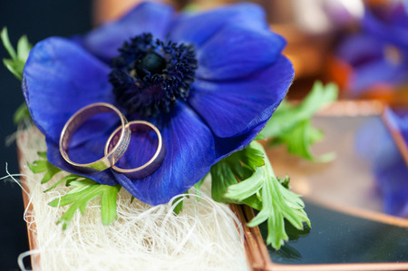 wedding rings with blue anemones and iris.