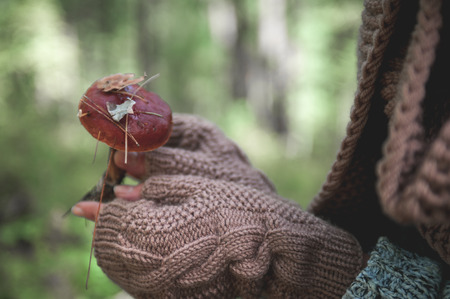 Female hands in mittens hold a forest mushroom.の写真素材