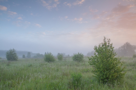 Cool, misty summer morning heralds the beginning of a hot day の写真素材