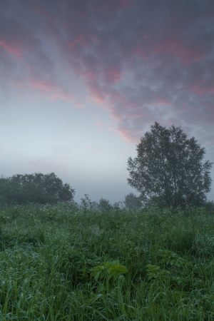 Cool, misty summer morning heralds the beginning of a hot day の写真素材