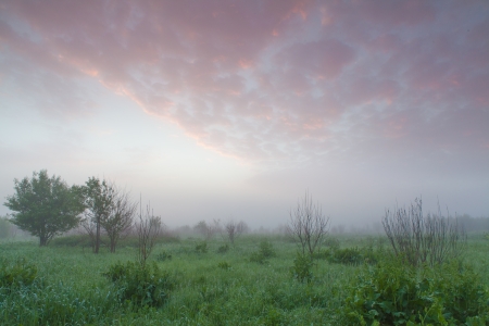 Cool, misty summer morning heralds the beginning of a hot day の写真素材