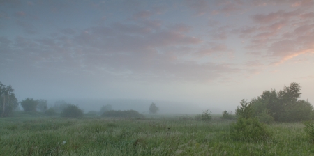 Cool, misty summer morning heralds the beginning of a hot day の写真素材