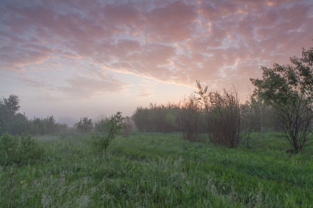Cool, misty summer morning heralds the beginning of a hot day の写真素材