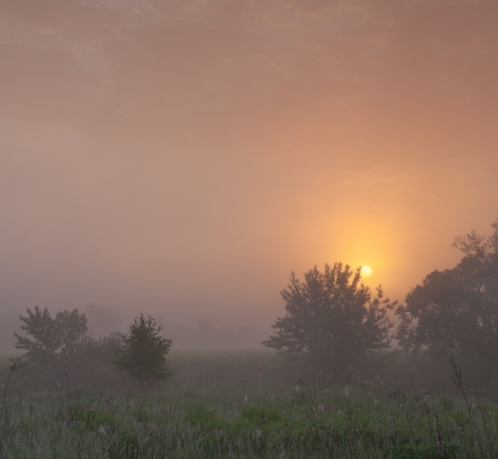 Cool, misty summer morning heralds the beginning of a hot day の写真素材