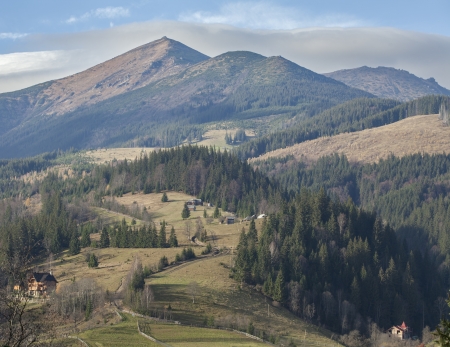Early morning in the Carpathians near the village of Dzembroniaの写真素材