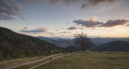 Early morning in the Carpathians near the village of Dzembroniaの写真素材