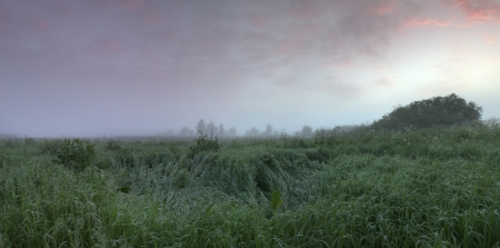 Cool, misty summer morning heralds the beginning of a hot day の写真素材