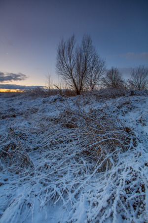 Winter landscapeの写真素材