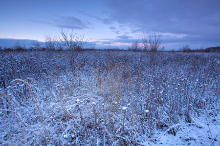 Frosty winter morning on the riveの写真素材
