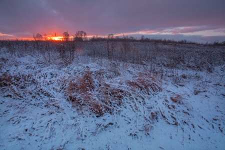 Ð¡old winter morningの写真素材