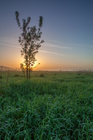 Summer morningの写真素材