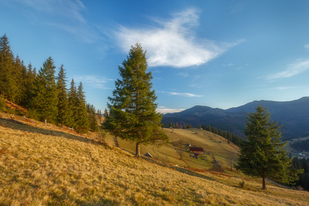 Autumn landscape in the Carpathians near the village of Dzembronia.の写真素材