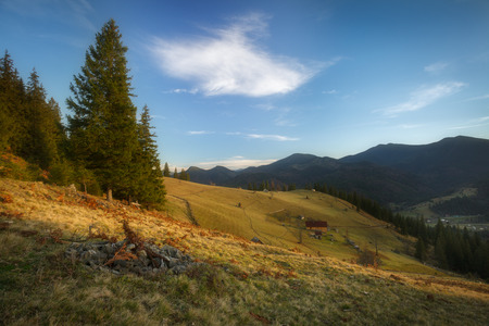Autumn landscape in the Carpathians near the village of Dzembronia.の写真素材