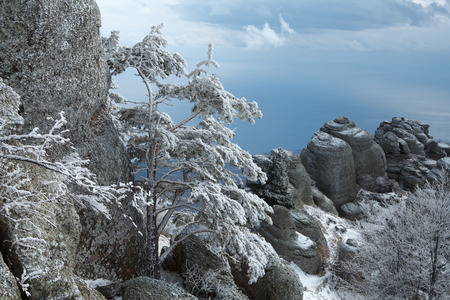 Winter day in the mountainsの写真素材