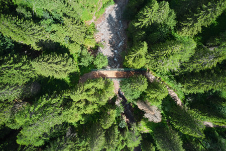 vertical aerial view of a bridge crossing a stream in the forest in trentino italy