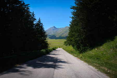 tree-lined road of campo imperator abruzzo