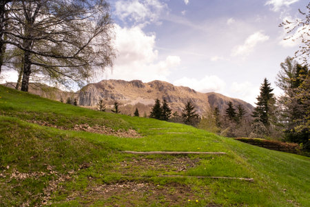 path in the park of the orecchiella in garfagnana tuscany in the background the pania di corfinoの写真素材