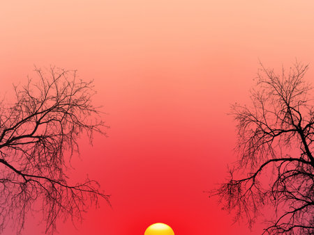 red sunset with trees in backlightの写真素材
